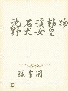 沈石溪动物小说野犬女皇