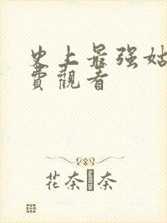 史上最强姑爷免费观看