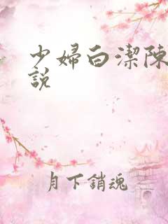 少妇白洁陈三小说