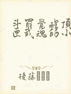 斗罗觉醒顶级剑匣武魂的小说