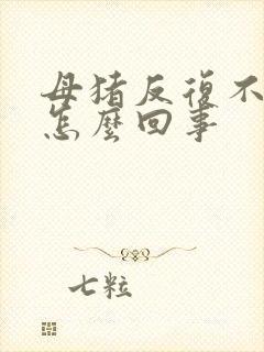 母猪反复不吃食怎么回事