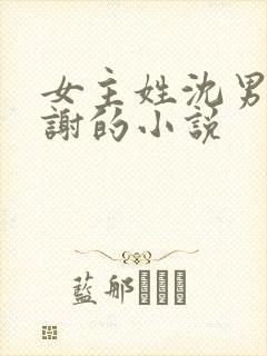 女主姓沈男主姓谢的小说