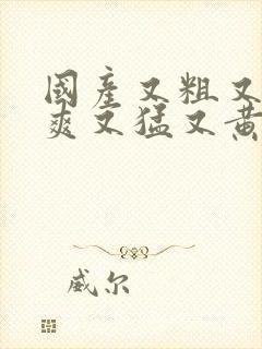 国产又粗又硬又爽又猛又黄视频