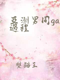 亚洲男同gay过程