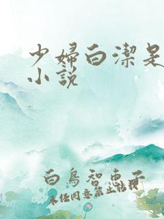 少妇白洁是哪本小说