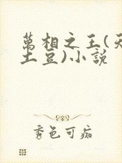 万相之王(天蚕土豆)小说