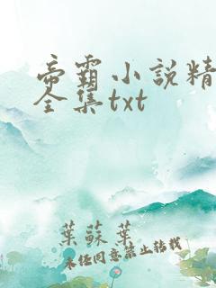 帝霸小说精校版全集txt