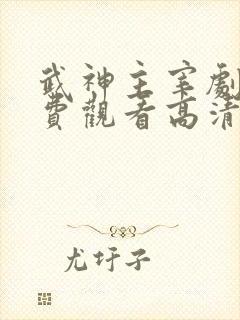 武神主宰剧版免费观看高清完整版