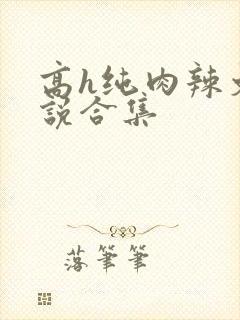 高h纯肉辣文小说合集