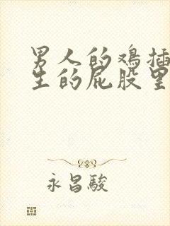 男人的鸡插进女生的屁股里