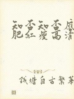 知否知否应是绿肥红瘦高清资源