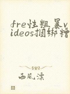 fre性粗暴videos捆绑糟蹋