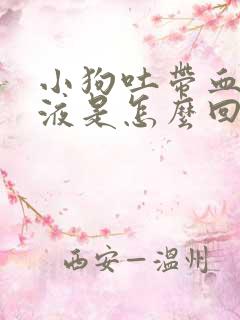 小狗吐带血的粘液是怎么回事