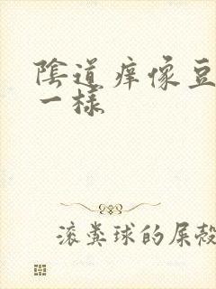 阴道痒像豆腐渣一样