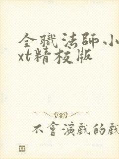 全职法师小说txt精校版