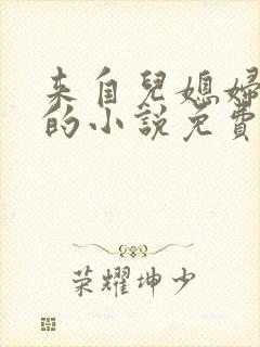 来自儿媳妇的爱的小说免费阅读