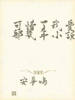 可惜了我爱着你那几年小说免费阅读