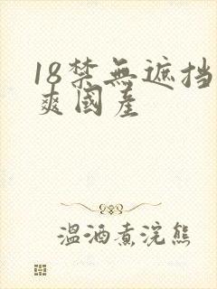 18禁无遮挡很爽国产