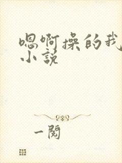 嗯啊操的我好爽小说