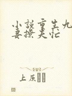 小说重生九零甜妻撩夫忙