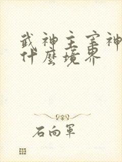 武神主宰神帝是什么境界