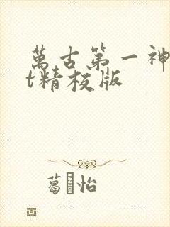 万古第一神txt精校版