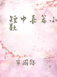 短中长篇小说字数