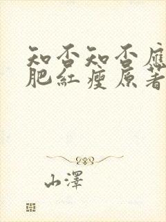 知否知否应是绿肥红瘦原著