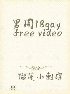 男同18gay free video