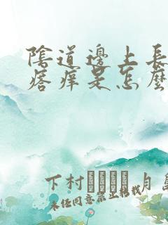 阴道边上长小疙瘩痒是怎么回事