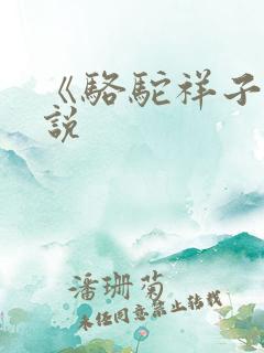 《骆驼祥子》小说
