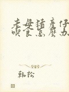 老母猪产仔后不吃食怎么办