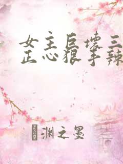 女主巨坏三观不正心狠手辣的小说