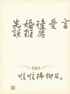 先婚后爱言情小说推荐