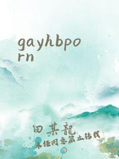 gayhbporn