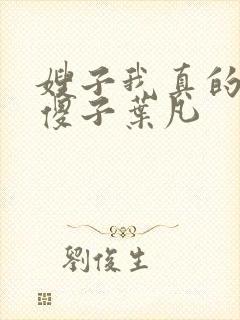 嫂子我真的不是傻子叶凡