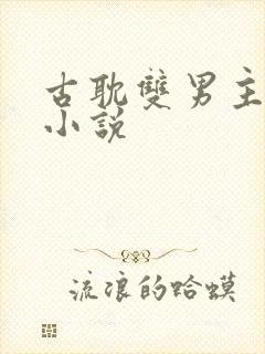 古耽双男主生子小说