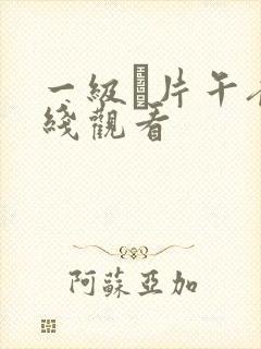 一级α片午夜在线观看