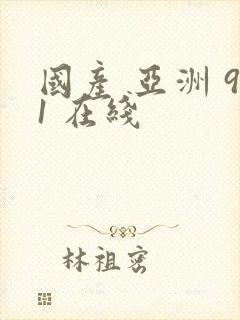 国产 亚洲 91 在线