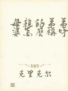 母亲的弟弟的老婆怎么称呼