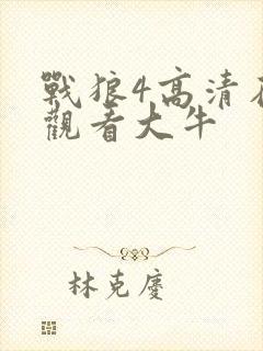 战狼4高清在线观看大牛