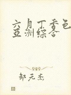 六月丁香色婷婷亚洲综合