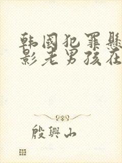 韩国犯罪悬疑电影老男孩在线观看