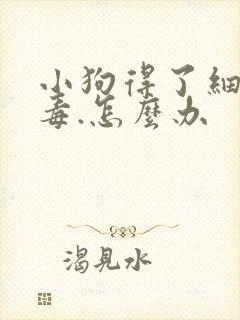 小狗得了细小病毒.怎么办