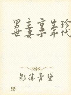 男主重生珍惜前世妻子年代文