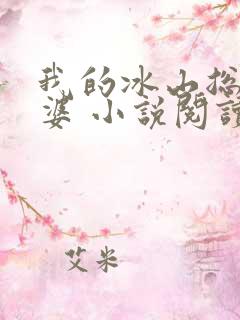 我的冰山总裁老婆 小说阅读