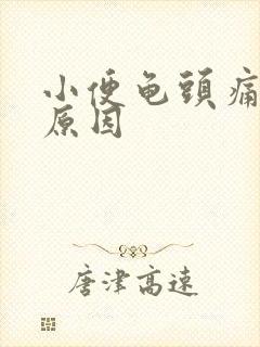 小便龟头痛什么原因