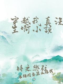 穿越我真没想重生啊小说