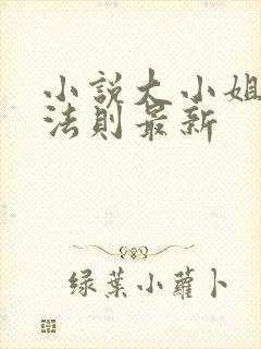 小说大小姐倾慕法则最新
