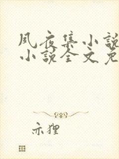 夙夜集小说原著小说全文免费阅读无弹窗